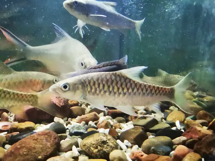 MSMS Aquatic Picture 3