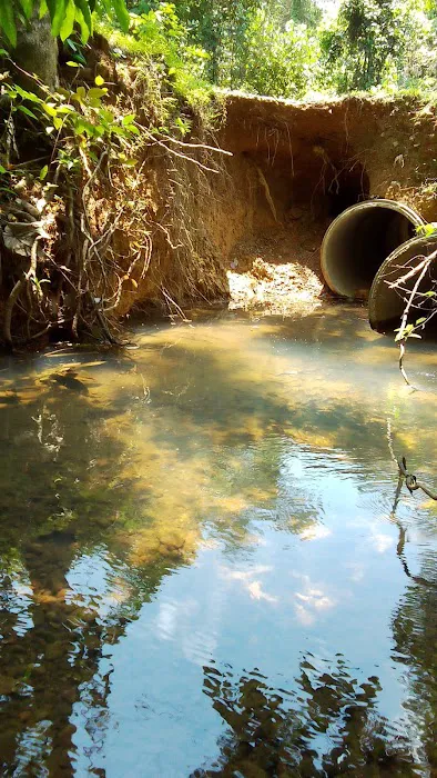 Sungai kapeh Picture 1