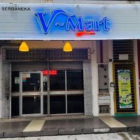 V ~ Mart ico