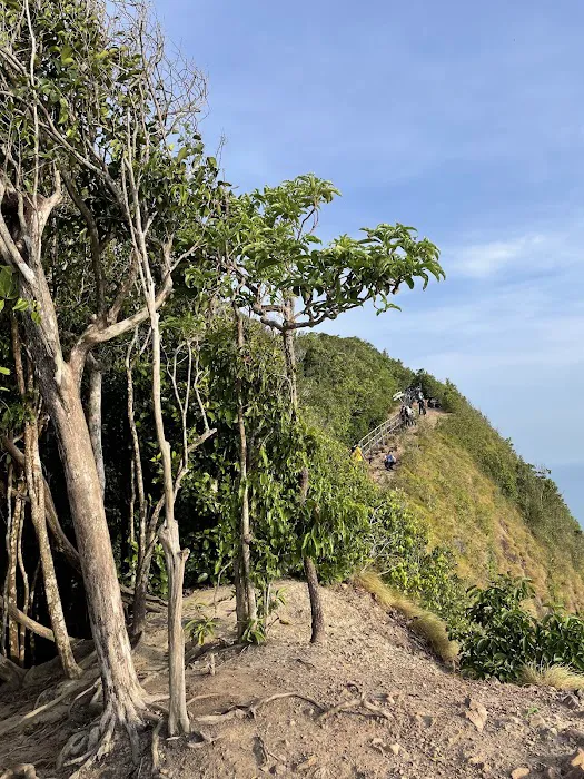 Bukit Keluang Trail Head. Picture 7