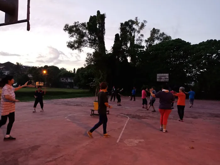 Energy Bagua Picture 1
