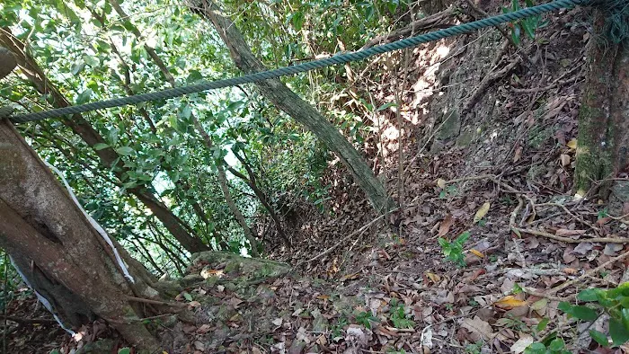 Bukit Pulau Rhu South Peak Picture 5