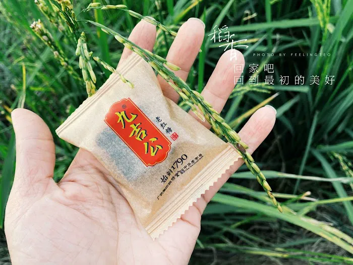 Jiujigong SG MY (丽丝爱食糖) Picture 7