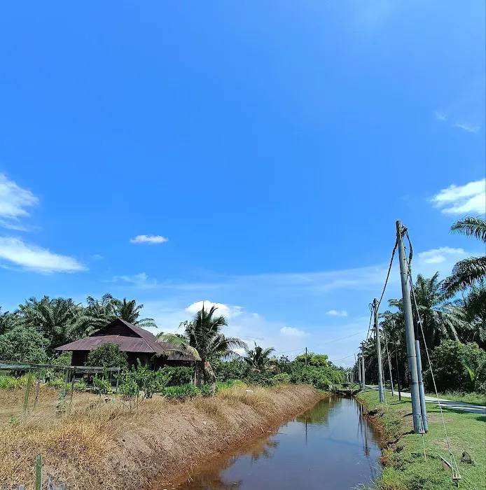 Teluk Intan Fruit Farm Picture 7
