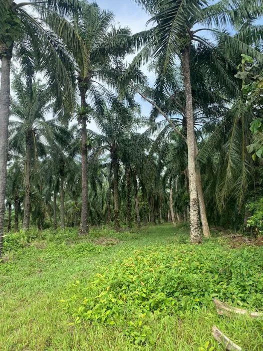 Tanah Ikhsan Picture 2