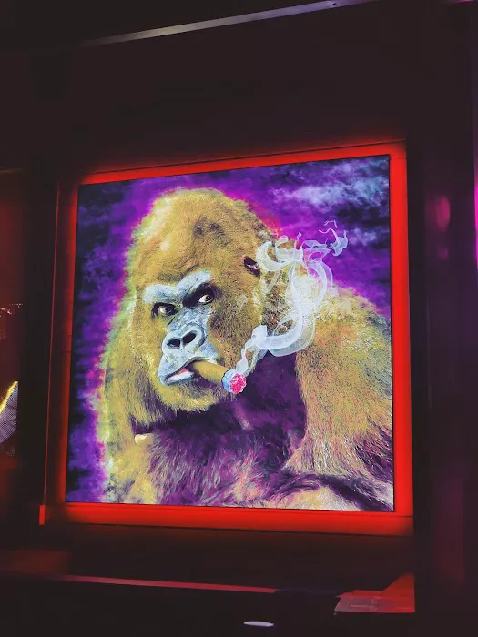 Monkey Bar 酒吧 Picture 6