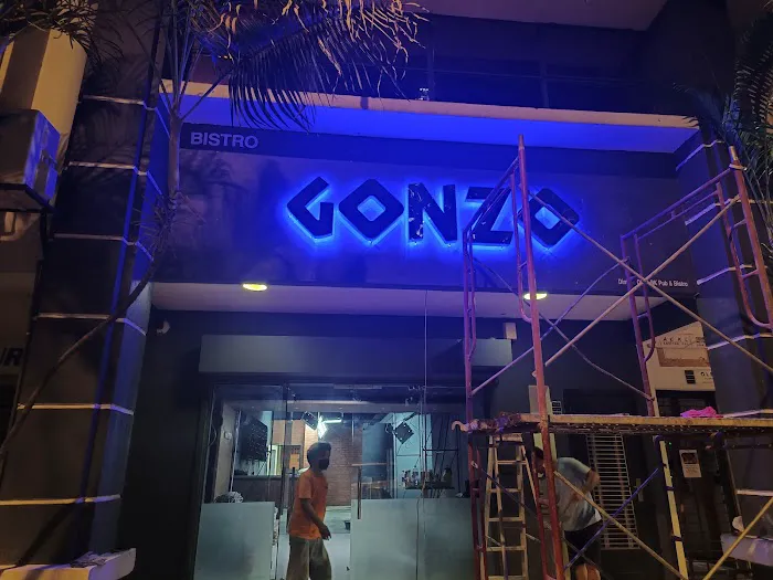 GONZO Fun Pub Picture 8