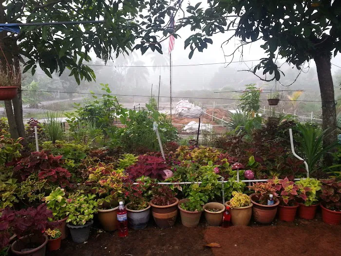D'Laman Adam Garden @ Teluk Intan, Perak. Picture 4