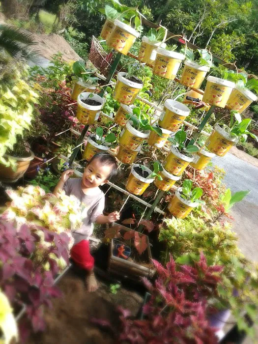 D'Laman Adam Garden @ Teluk Intan, Perak. Picture 6
