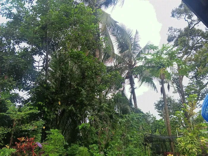 D'Laman Adam Garden @ Teluk Intan, Perak. Picture 10