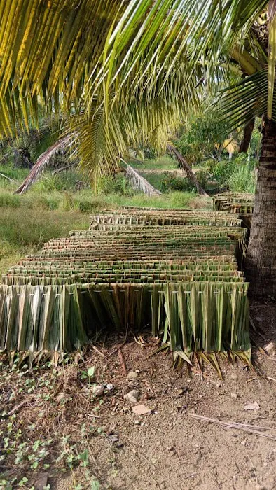 PEMBEKAL ATAP RUMBIA Picture 5
