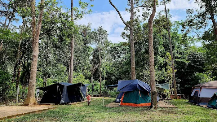 Es Mail Campsite Picture 4