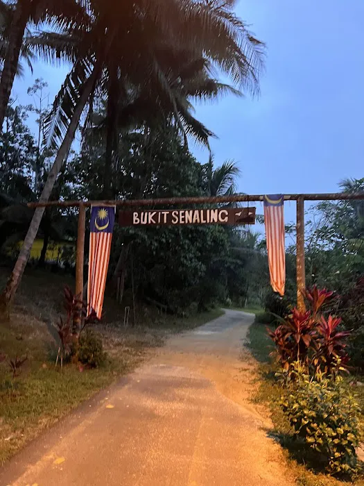 Start Point Bukit Senaling Hiking Trail Picture 7