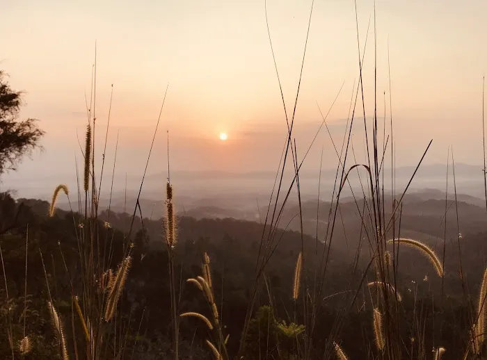 Start Point Bukit Senaling Hiking Trail Picture 4