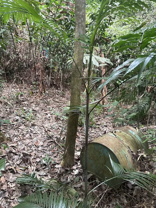 Bukit Segambut Picture 2