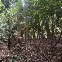 Bukit Segambut ico