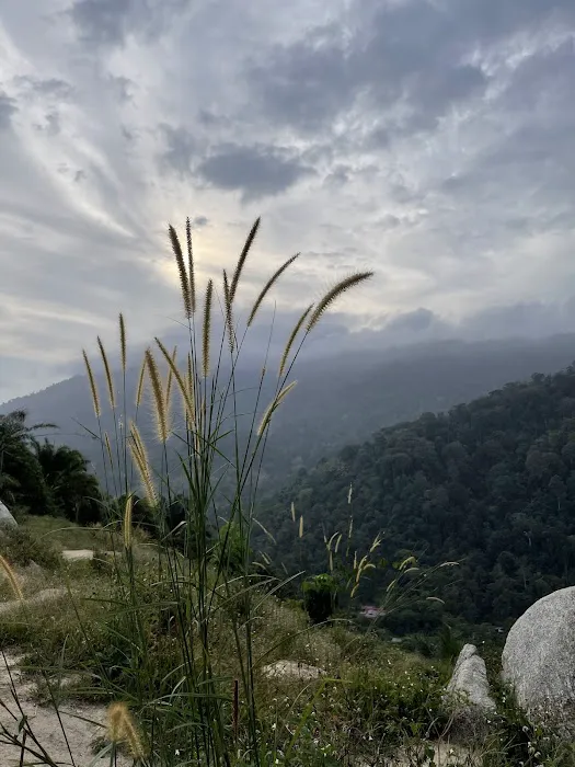 Bukit Sikai Picture 6