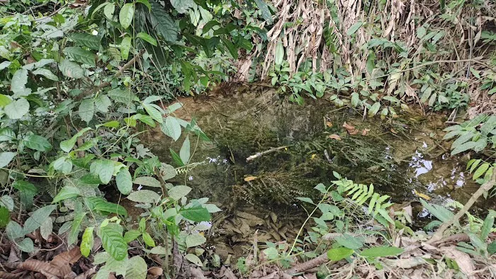 Air Mata Kalau Picture 7
