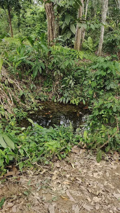 Air Mata Kalau Picture 4