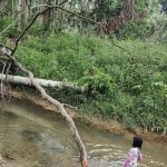 Air Mata Kalau