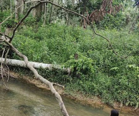 Air Mata Kalau