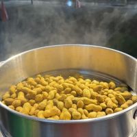 Halimatussa'adiah coklat dan manisan ico