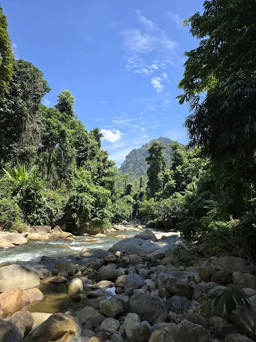 Tok RAY's Durian Farm Picture 1