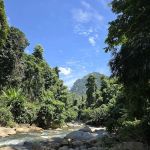 Tok RAY's Durian Farm