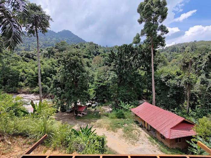 Tok RAY's Durian Farm Picture 7