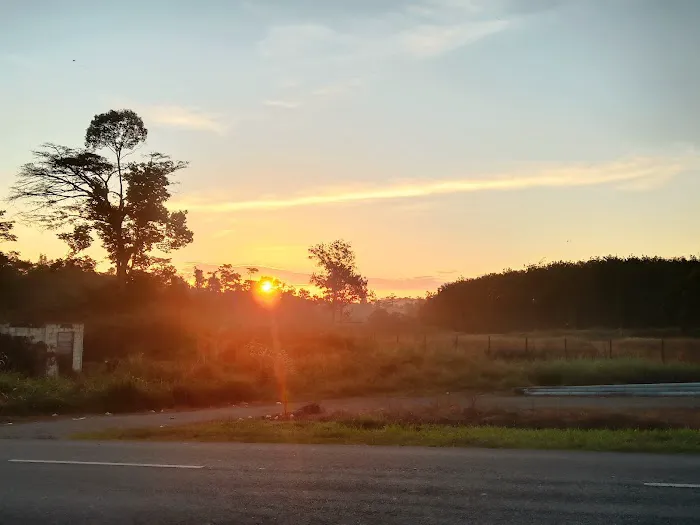 Ct'S Homemade Picture 4