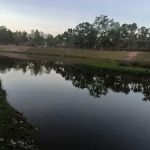 Kolam Pondok Polis Nilai Impian