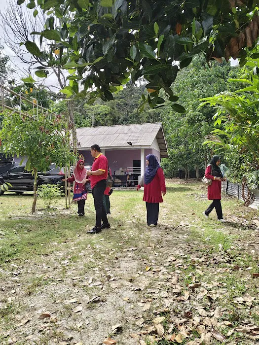 SEJIWA Campsite Picture 7