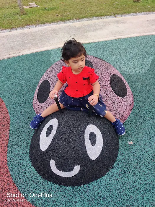 The Parc Playground Picture 7