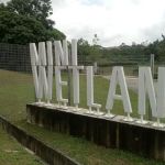 Mini Wetland Nada Alam