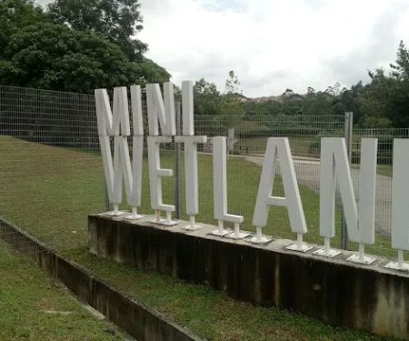Mini Wetland Nada Alam