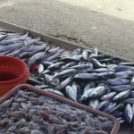 Wak's Ikan Sungai Serdang
