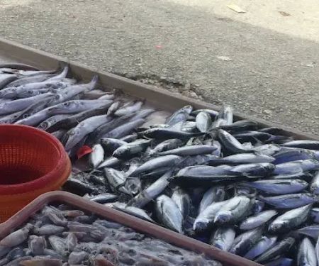 Wak's Ikan Sungai Serdang