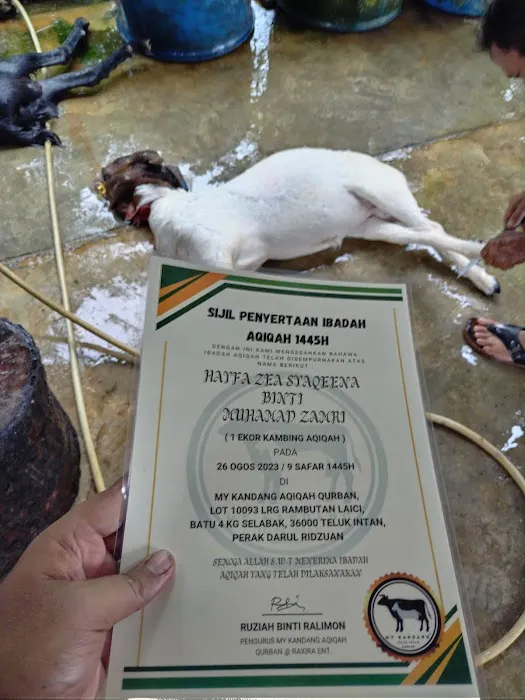My Kandang Aqiqah Qurban Picture 1