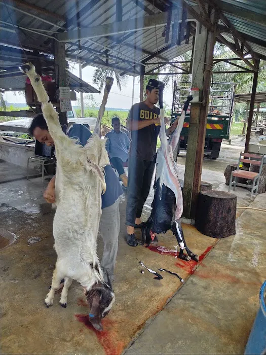 My Kandang Aqiqah Qurban Picture 6