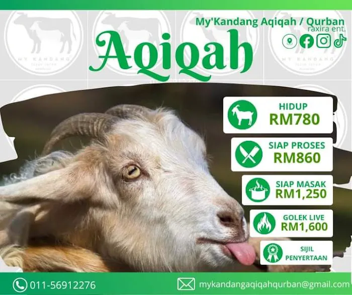 My Kandang Aqiqah Qurban Picture 2