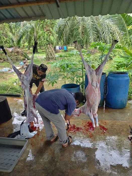 My Kandang Aqiqah Qurban Picture 8