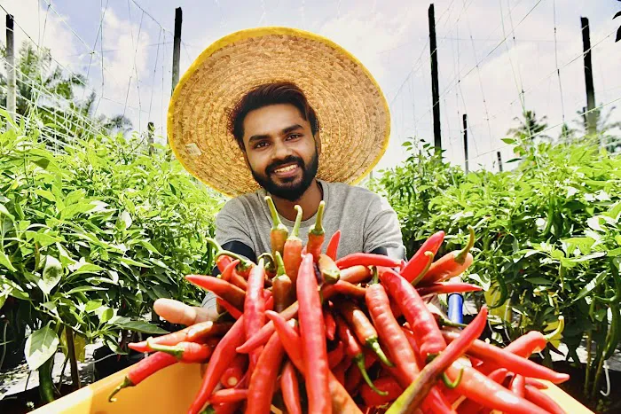 MY Farm Agro Picture 1