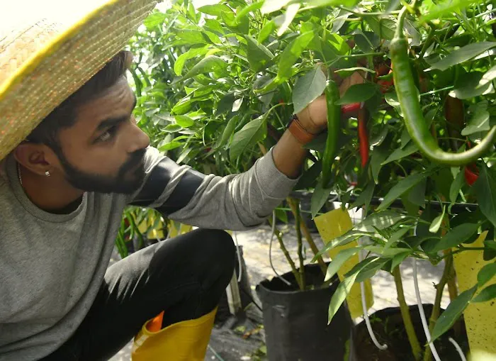 MY Farm Agro Picture 3