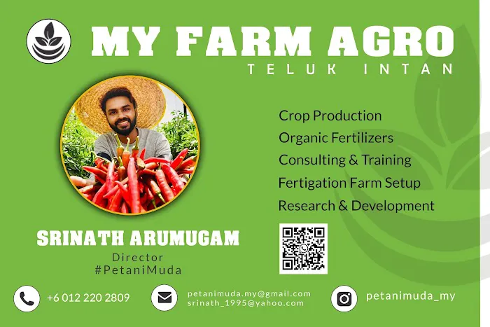 MY Farm Agro Picture 5