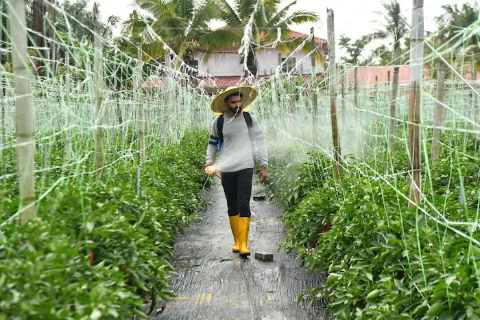 MY Farm Agro Picture 2