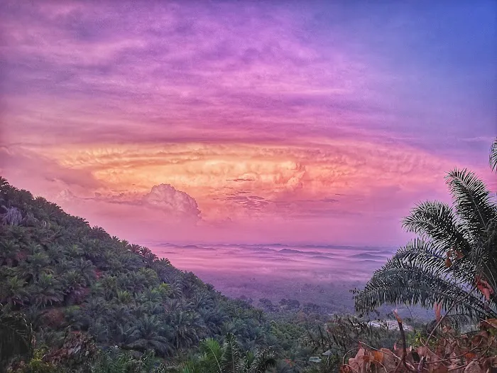 Bukit Taisho Picture 5