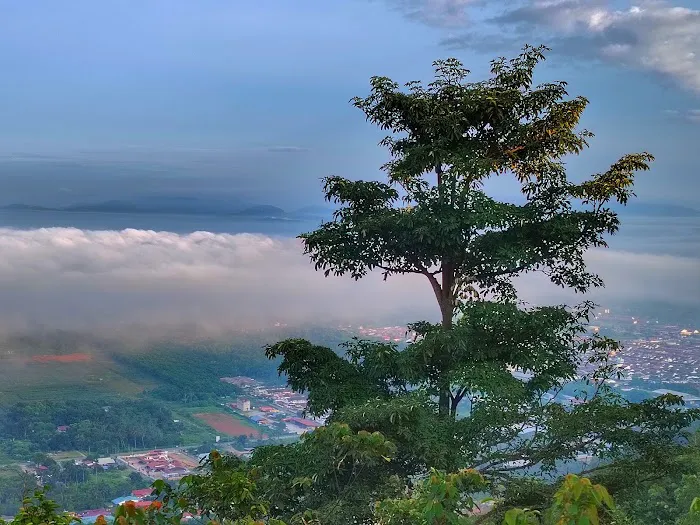 Bukit Taisho Picture 2