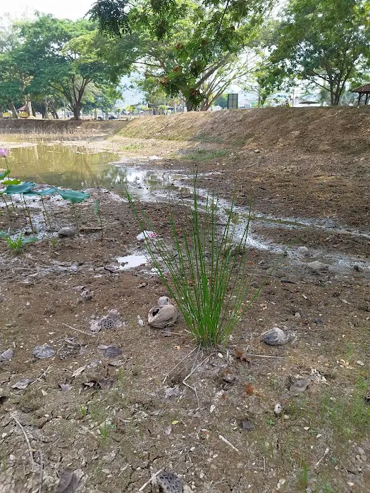 Taman Tasik Bahau Picture 9