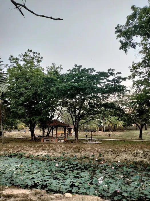 Taman Tasik Bahau Picture 6