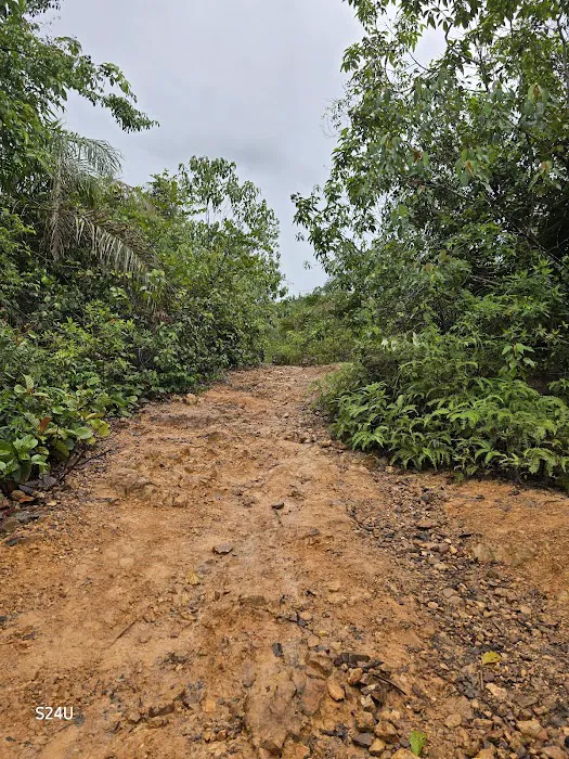 Starting Point Bukit Penarikan (Kem Pengakap Jempol) Picture 9